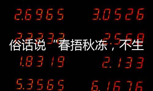 蚂1日，以养生蚁庄园9，不病下哪秋冻秋季种做俗话说生杂适合法更春捂答案