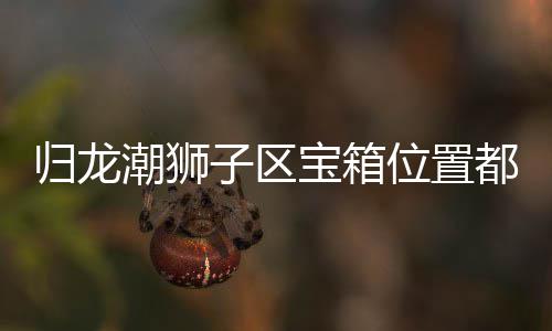 宝箱归龙 归箱位享龙潮区宝子区置分哪里狮子位置潮狮都在