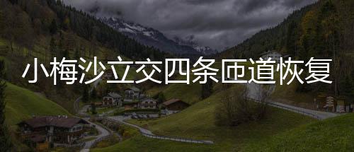 条匝小梅交四沙立复通车道恢