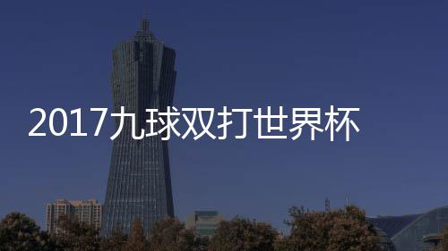 s瑞英格一比杯录像 频九球兰v双打世界赛视分之典四
